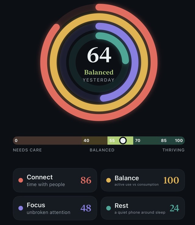 The four ThirdLife rings with an overall daily score, the scoring scale, and the four ring scores